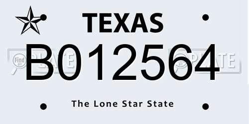 B012564 Texas License Plate