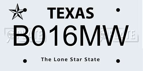 B016MW Texas License Plate