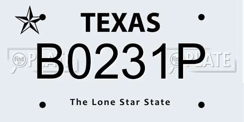 B0231P Texas License Plate