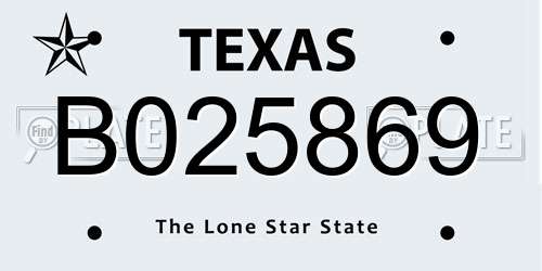 B025869 Texas License Plate