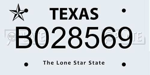 B028569 Texas License Plate