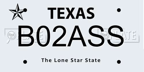 B02ASS Texas License Plate