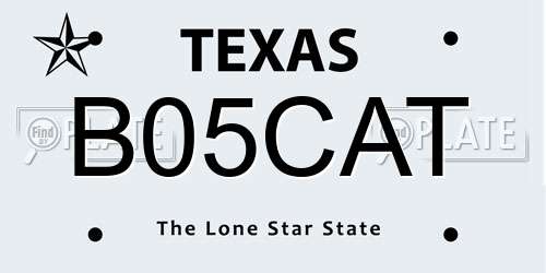 B05CAT Texas License Plate