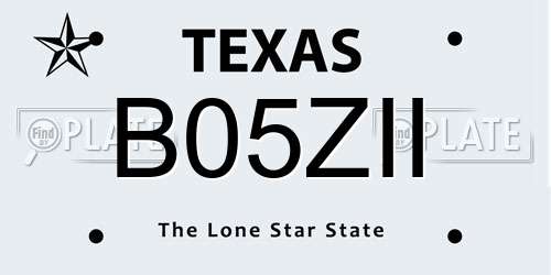 B05ZII Texas License Plate