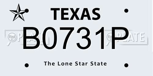 B0731P Texas License Plate