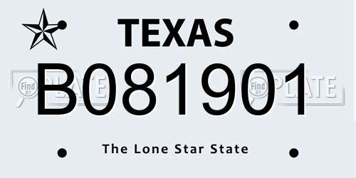 B081901 Texas License Plate