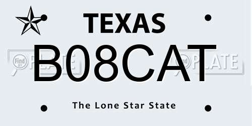 B08CAT Texas License Plate