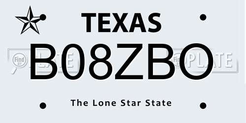 B08ZBO Texas License Plate