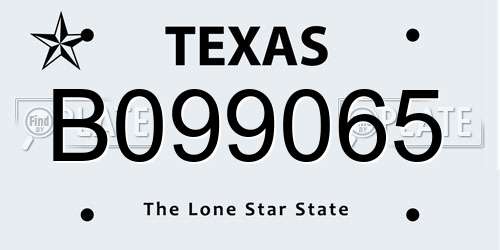 B099065 Texas License Plate