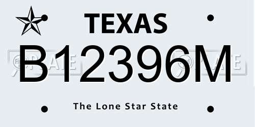 B12396M Texas License Plate