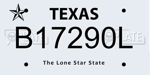 B17290L Texas License Plate