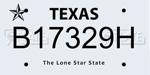 B17329H Texas License Plate