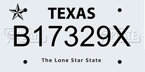 B17329X Texas License Plate