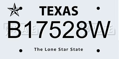 B17528W Texas License Plate