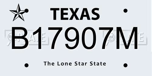 B17907M Texas License Plate