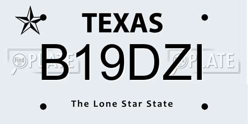 B19DZI Texas License Plate