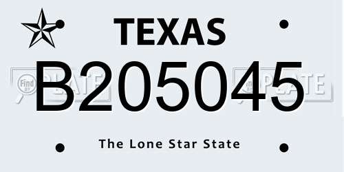 B205045 Texas License Plate