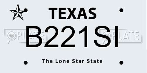 B221SI Texas License Plate