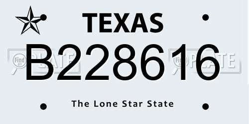 B228616 Texas License Plate