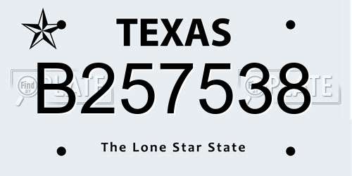 B257538 Texas License Plate