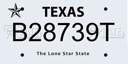 B28739T Texas License Plate