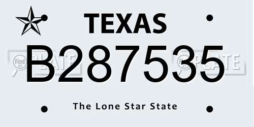 B287535 Texas License Plate