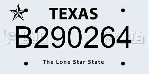 B290264 Texas License Plate