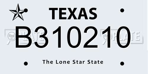 B310210 Texas License Plate