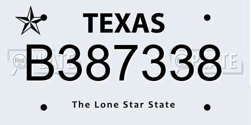 B387338 Texas License Plate