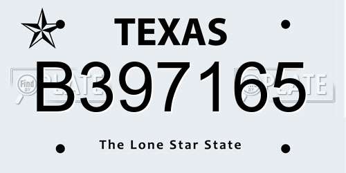 B397165 Texas License Plate