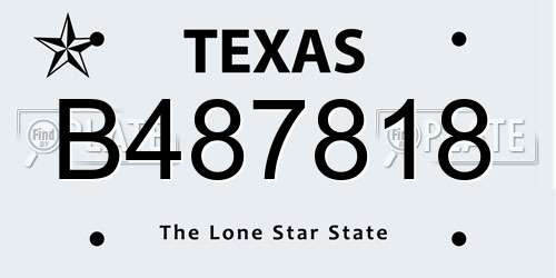 B487818 Texas License Plate