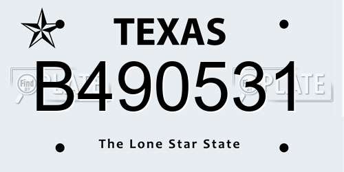 B490531 Texas License Plate