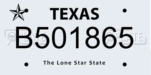 B501865 Texas License Plate
