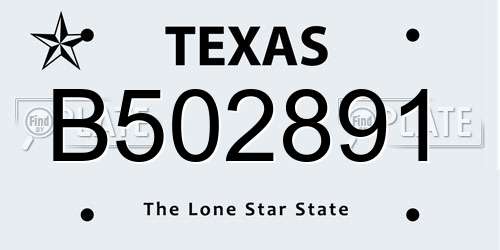 B502891 Texas License Plate