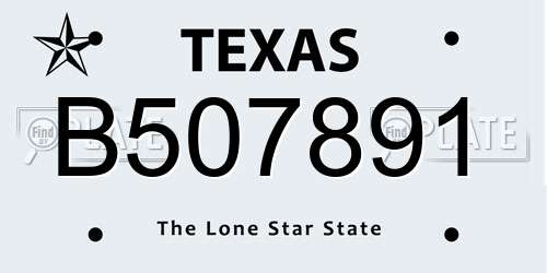 B507891 Texas License Plate