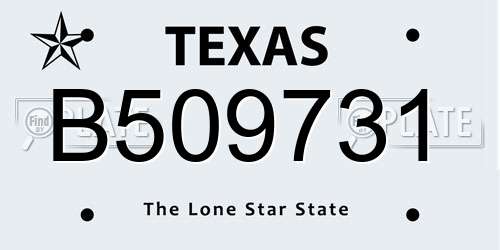 B509731 Texas License Plate