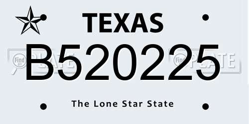 B520225 Texas License Plate