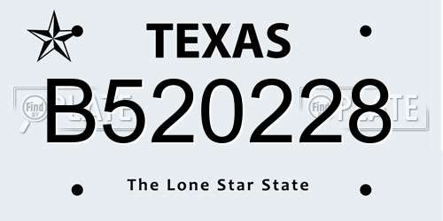 B520228 Texas License Plate