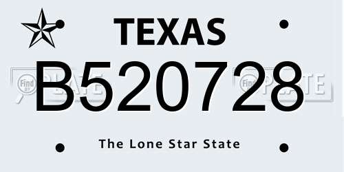 B520728 Texas License Plate