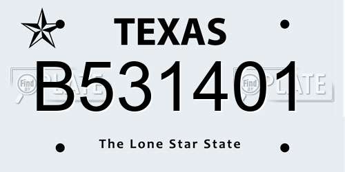 B531401 Texas License Plate