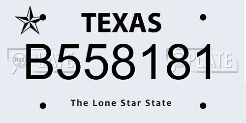 B558181 Texas License Plate