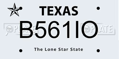 B561IO Texas License Plate