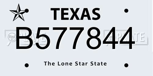 B577844 Texas License Plate