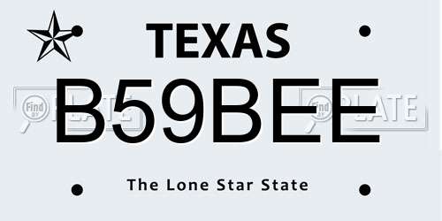 B59BEE Texas License Plate