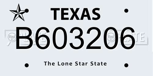 B603206 Texas License Plate