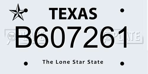 B607261 Texas License Plate