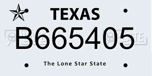 B665405 Texas License Plate
