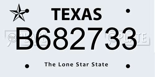B682733 Texas License Plate