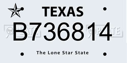 B736814 Texas License Plate