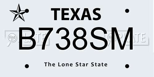 B738SM Texas License Plate